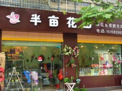半亩花田这样布局，涨幅高增长280%
