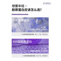 【赛恩佐佳人CP胶原球】全国代理商火热招募中！